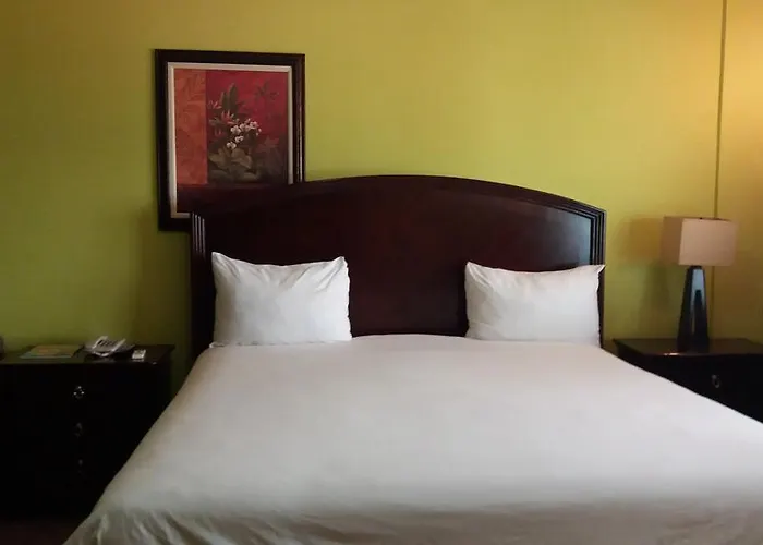The Wexford Montego Bay