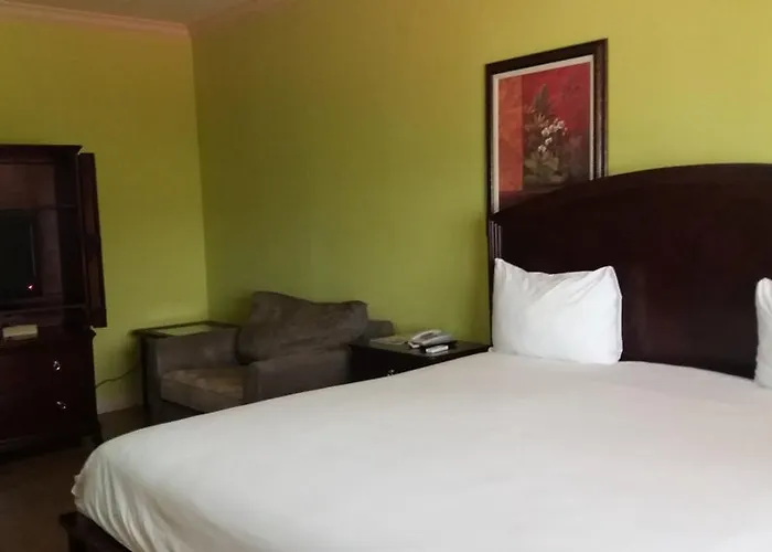 Hotel The Wexford Montego Bay